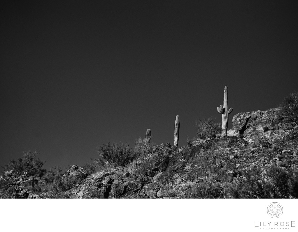 On Location Photography