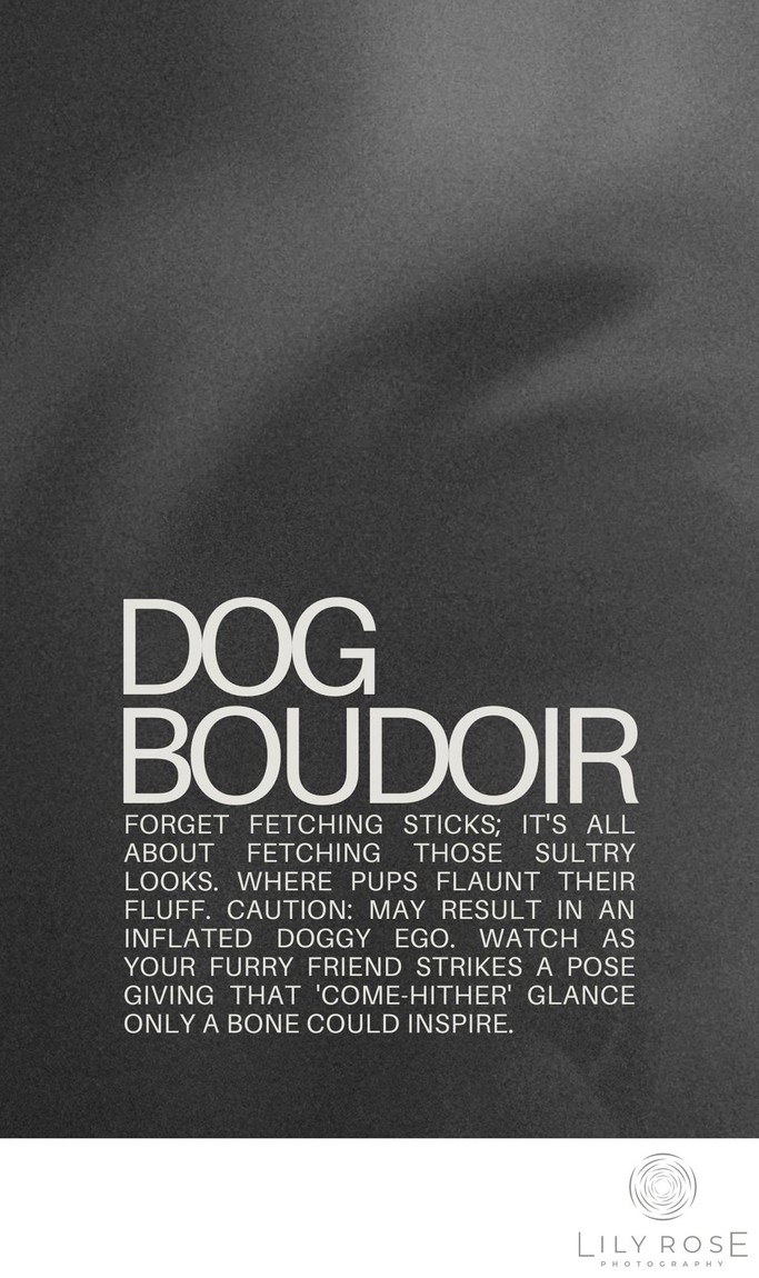Dog Boudoir Photography