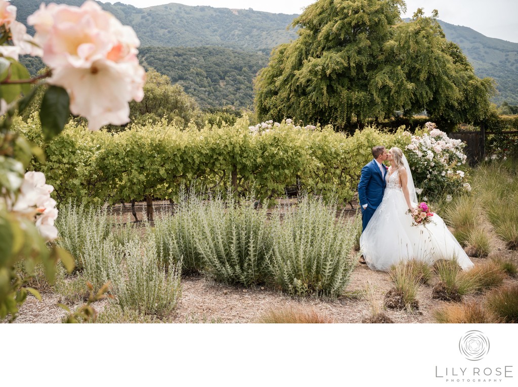 Napa Wedding Photographers at Bernardus Lodge