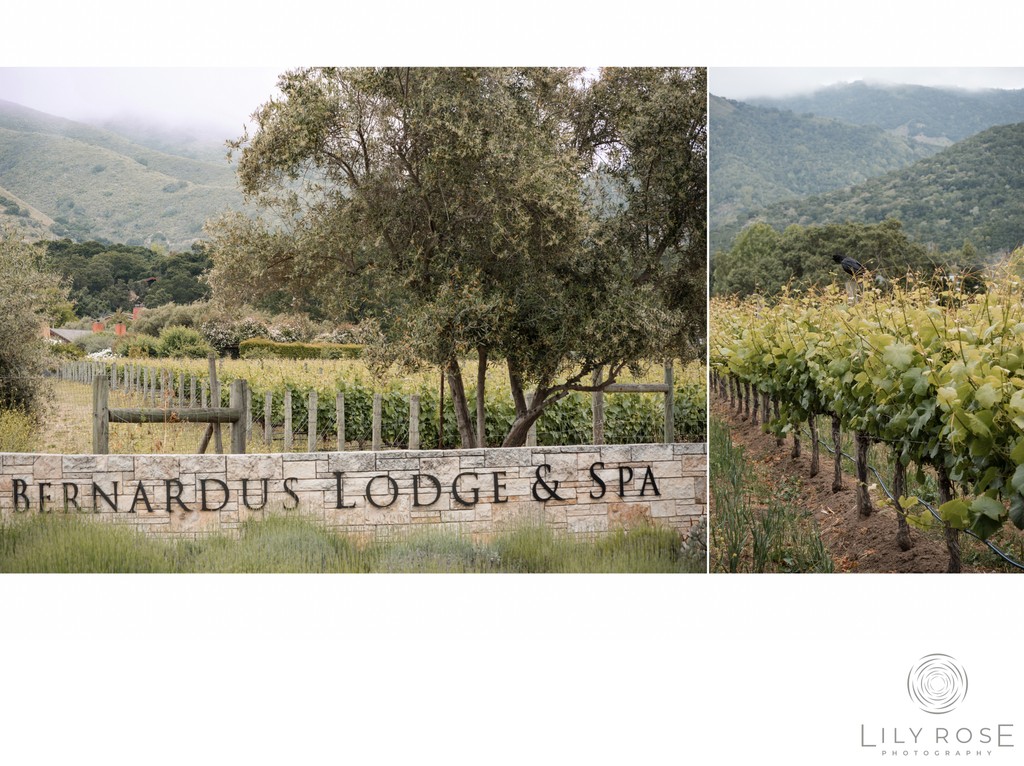 Carmel Engagement and Wedding Photography