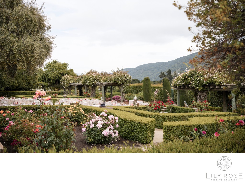 Carmel Wedding Storytelling Photographer