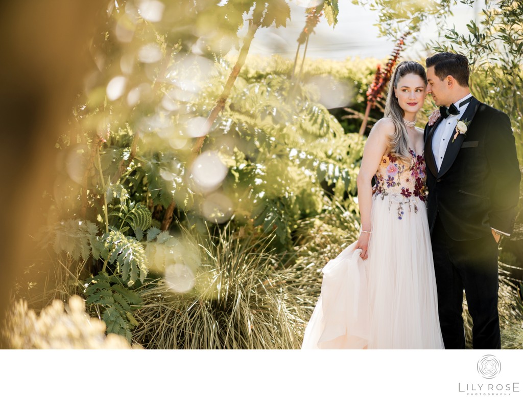 Sonoma Wedding Photographers