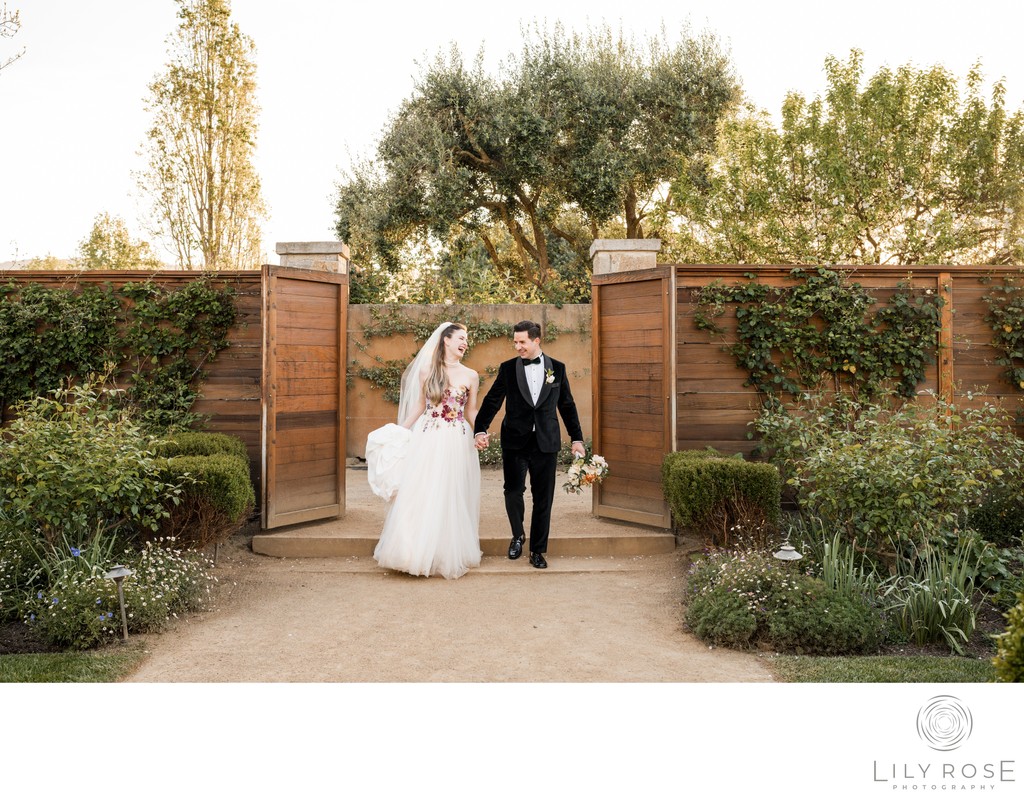 Sonoma Wine Country Wedding Photographers