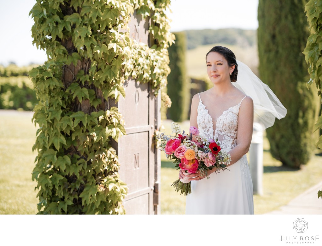 Romantic Sonoma Wedding Photographers
