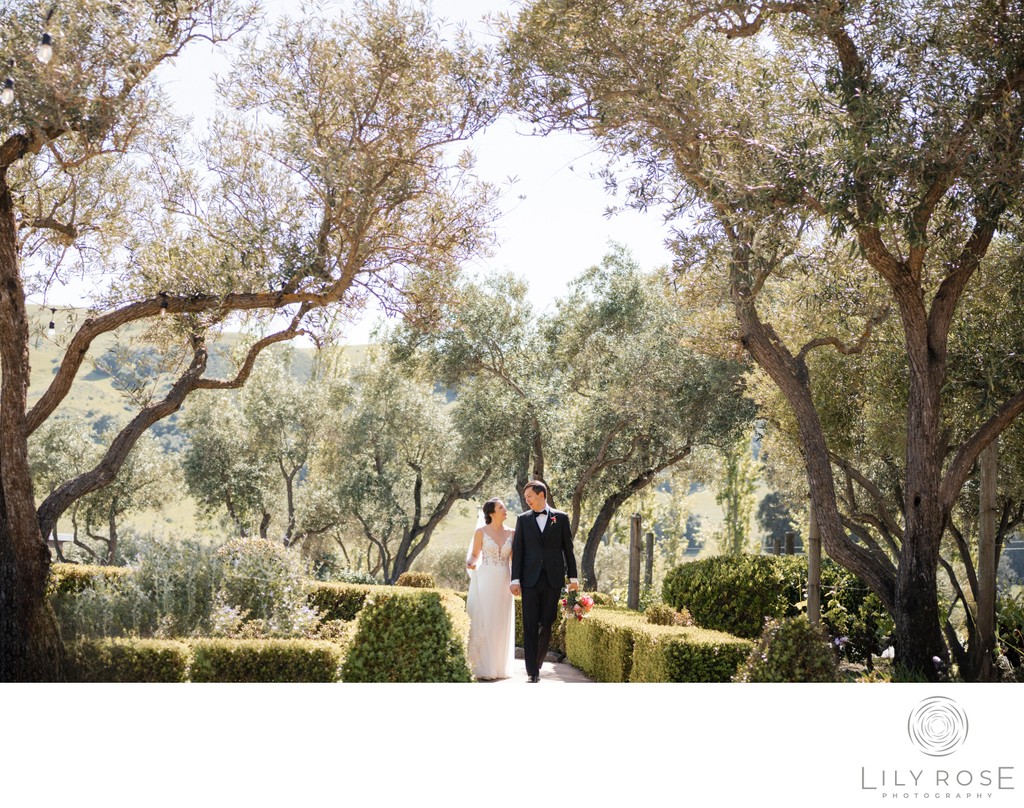 Editorial Viansa Sonoma Wedding Photographers