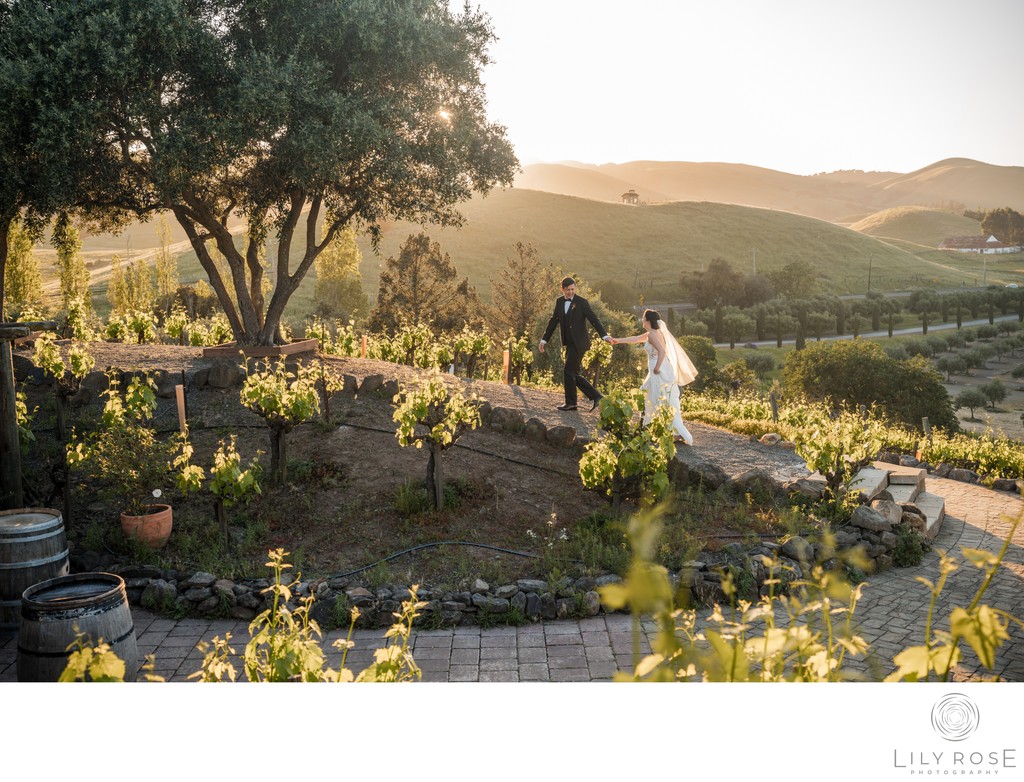 Viansa Sonoma Editorial Wedding Photographer