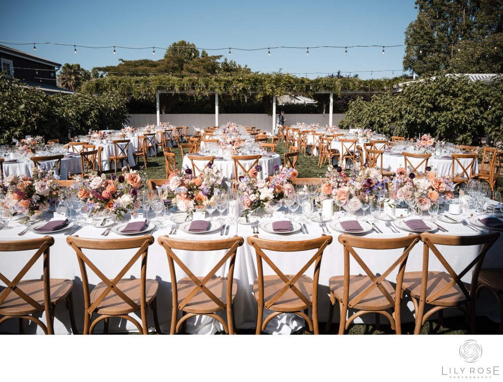 Fine Art Carneros Resort Wedding Photography