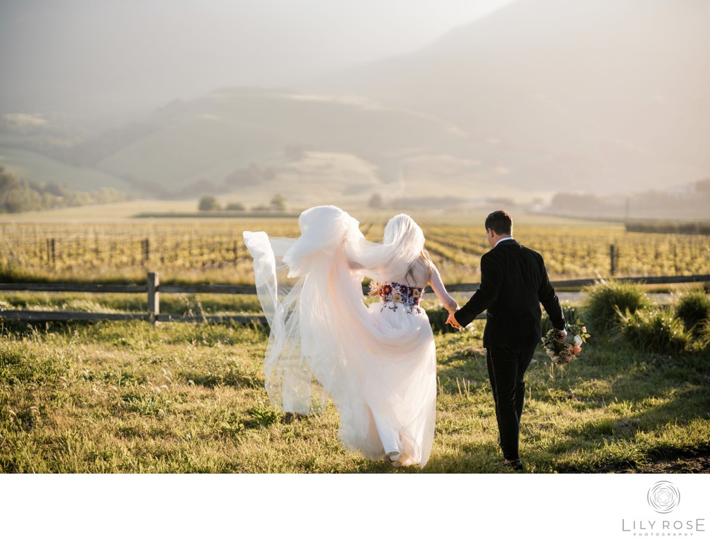 Sunset Cornerstone Sonoma Wedding Photographers