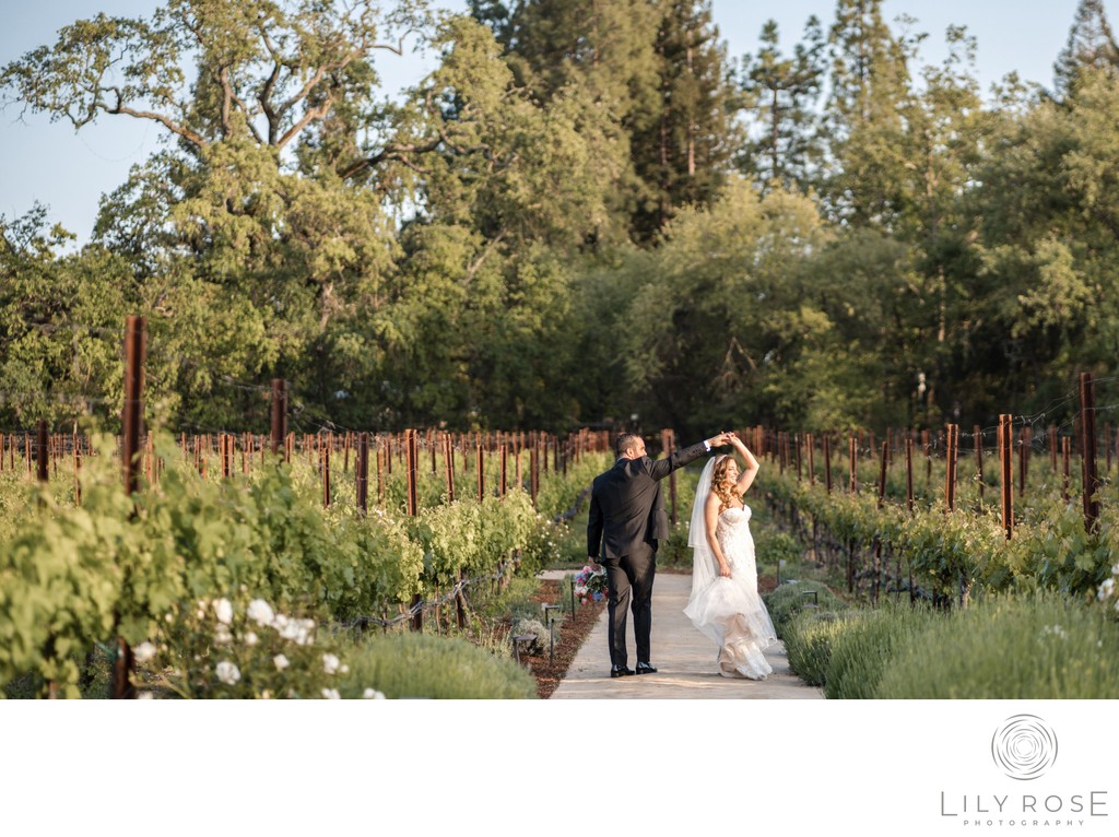 Reception Napa and Sonoma Valley Wedding Photography