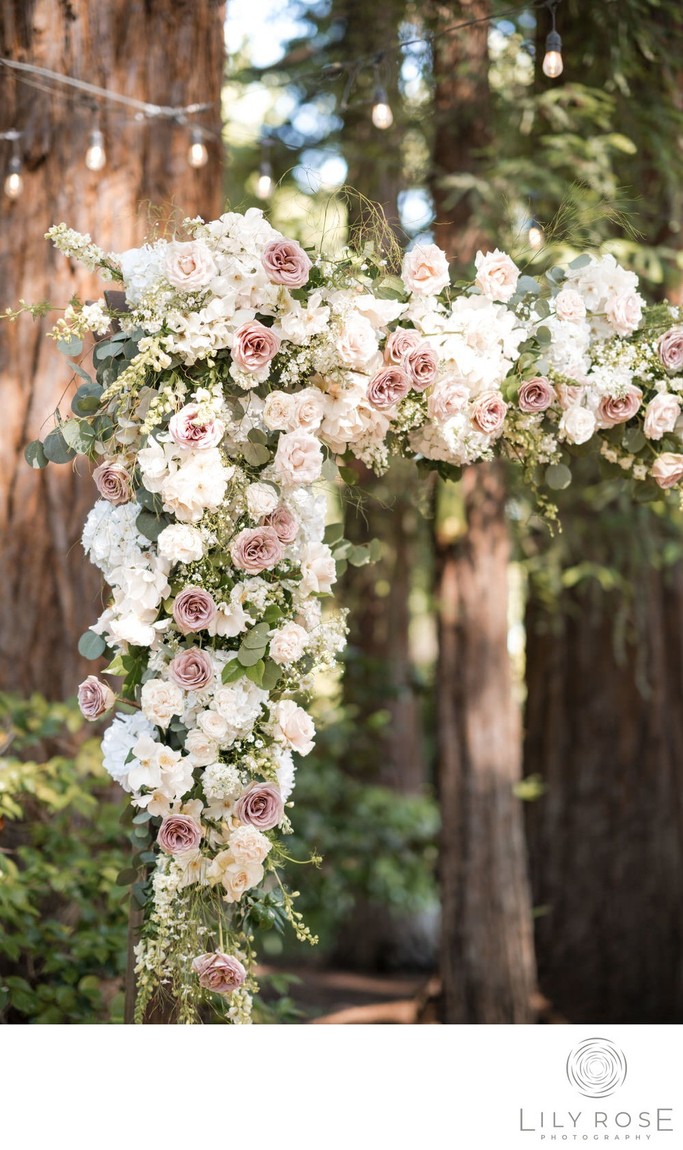 Beringer Winery Wedding Photographer Napa Valley