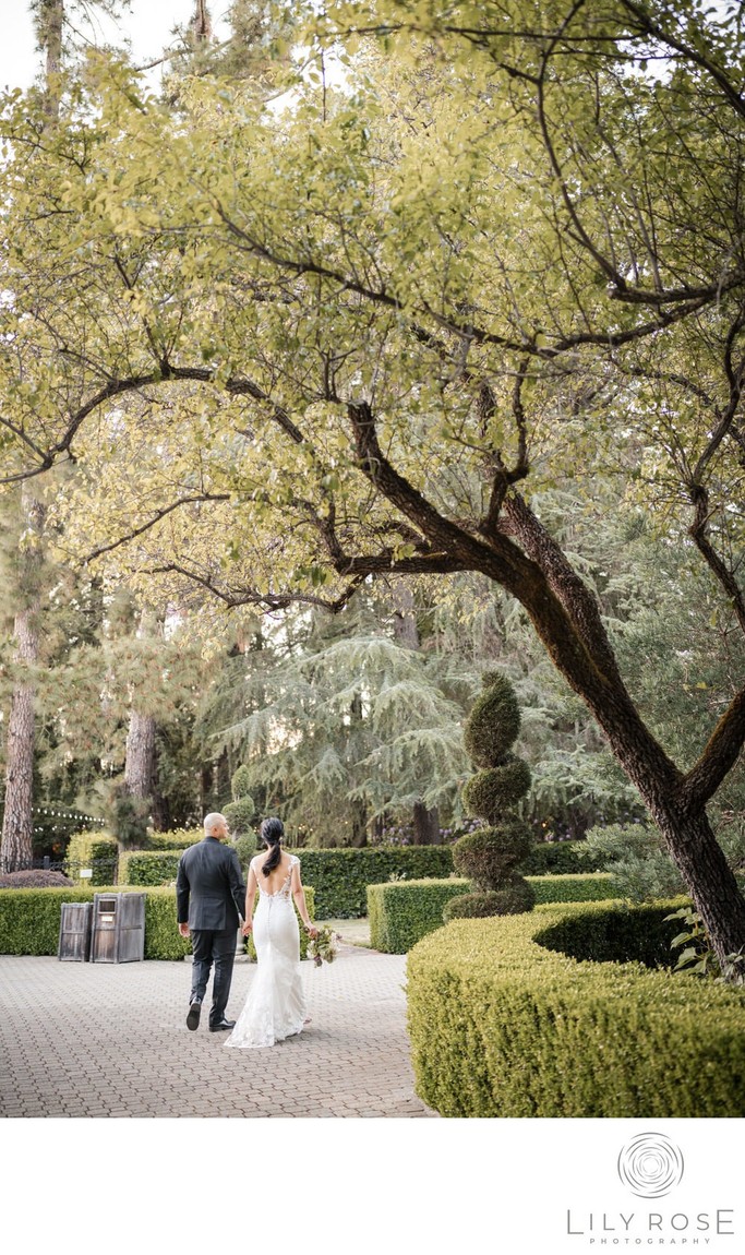 Romantic Beringer Winery Wedding Photographer