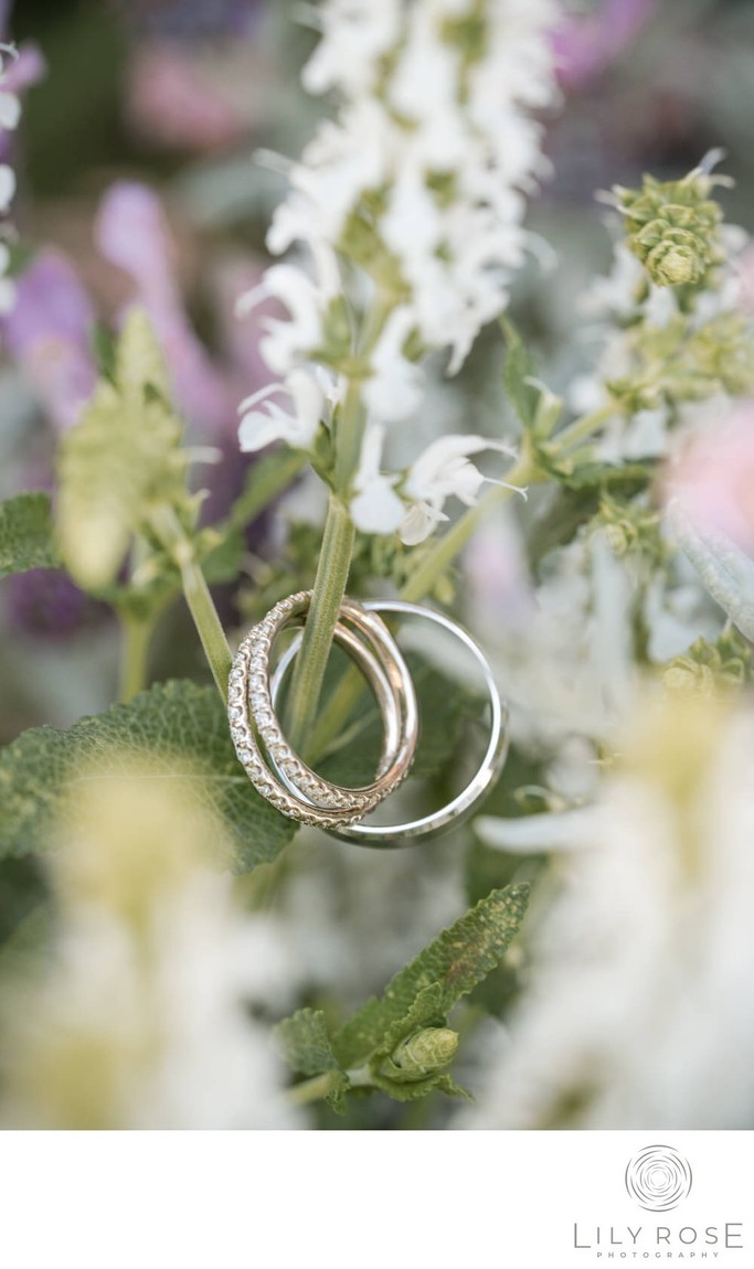 Stanly Ranch Editorial Napa Wedding Photographers