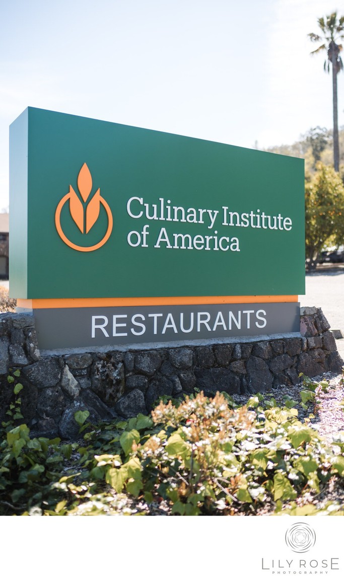 LGBTQ Culinary Institute Wedding Photographer Napa