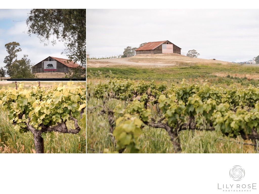 Stanly Ranch Auberge Napa Wedding Photography