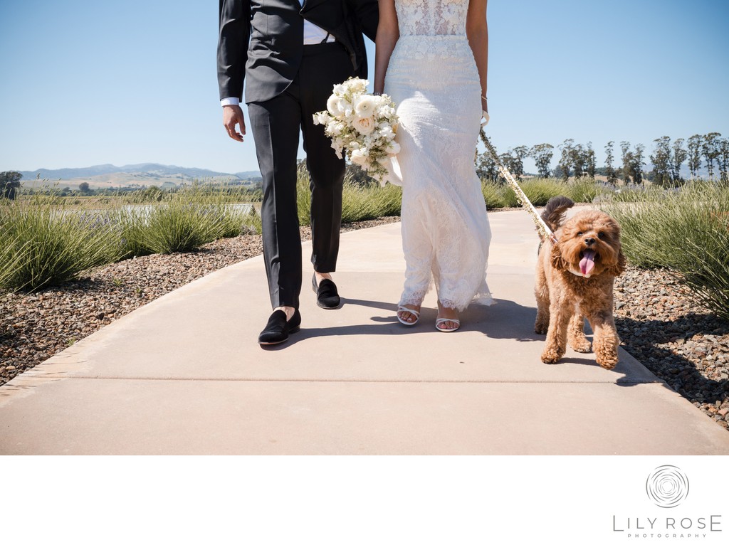 Infinity Stanly Ranch Auberge Wedding Photographer