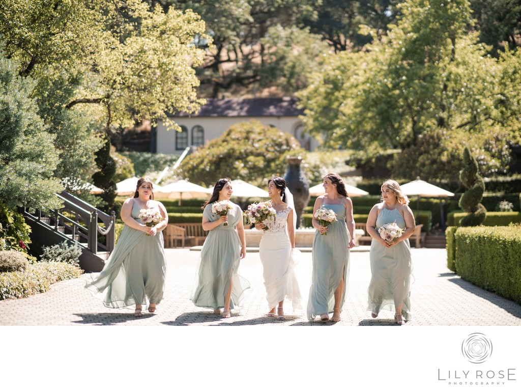 Bridal Party Beringer Vineyards Wedding Photography