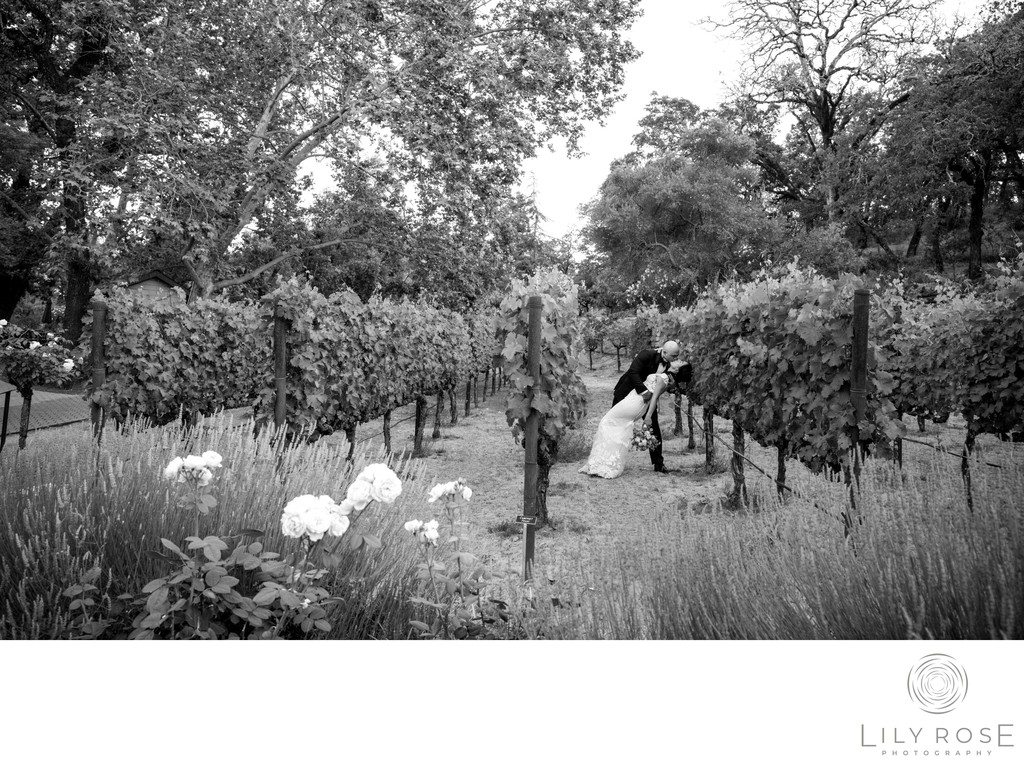 Beringer Vineyards Napa Valley Wedding Photographers 