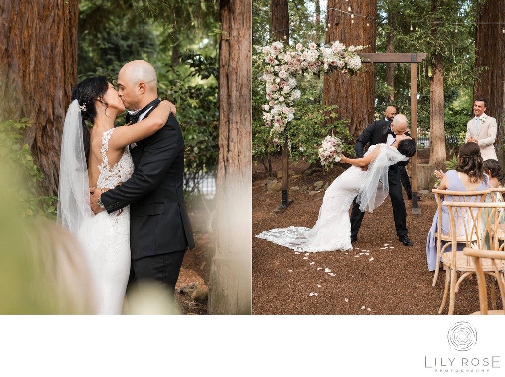 Ceremony Redwoods Beringer Vineyards Photographers