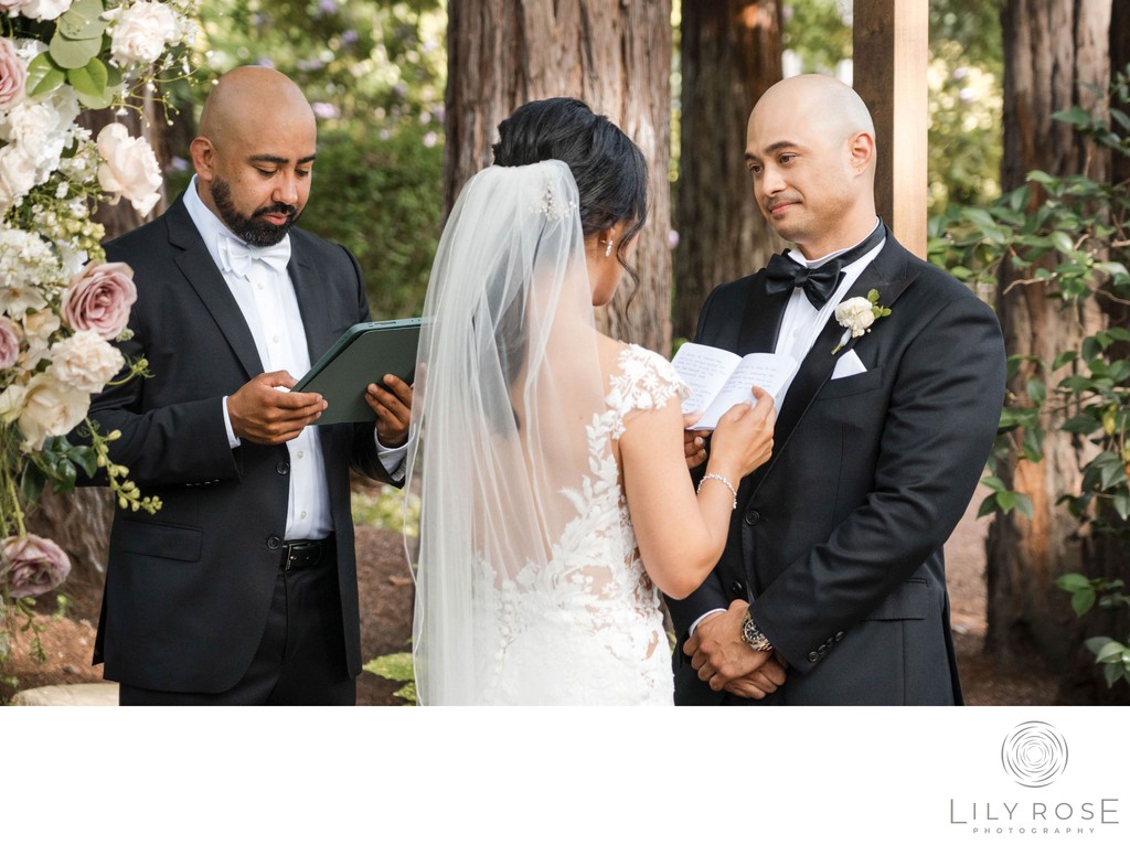 Wedding Ceremony Beringer Vineyards Best Photographers