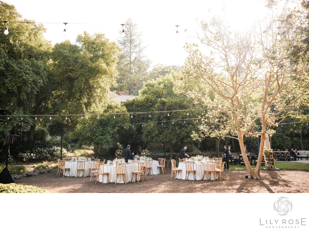 Napa Wedding Photography Beringer Vineyards