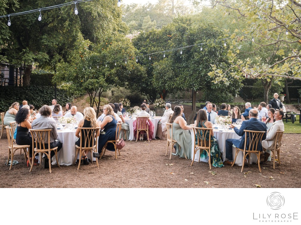 Welcome Speech Beringer Vineyards Photography