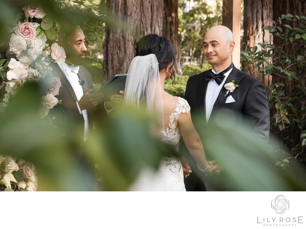 Best Ceremony Beringer Vineyards Wedding Photography