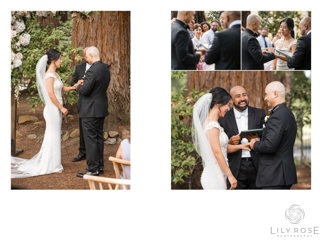 Wedding Ceremony Beringer Vineyards Best Photography