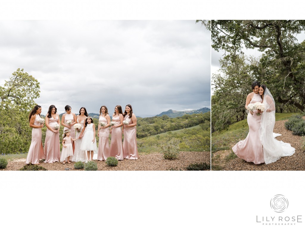 Wine Country Montage Healdsburg Wedding Photography