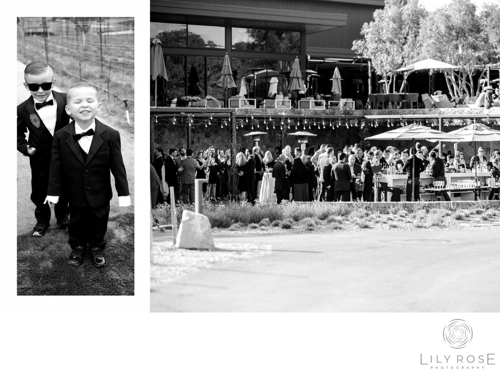 Fine Art Editorial Napa Wedding Photographer Montage
