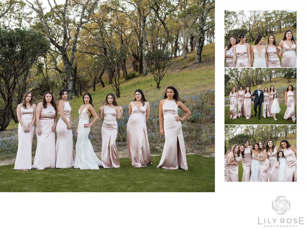 Editorial Wedding Montage Healdsburg