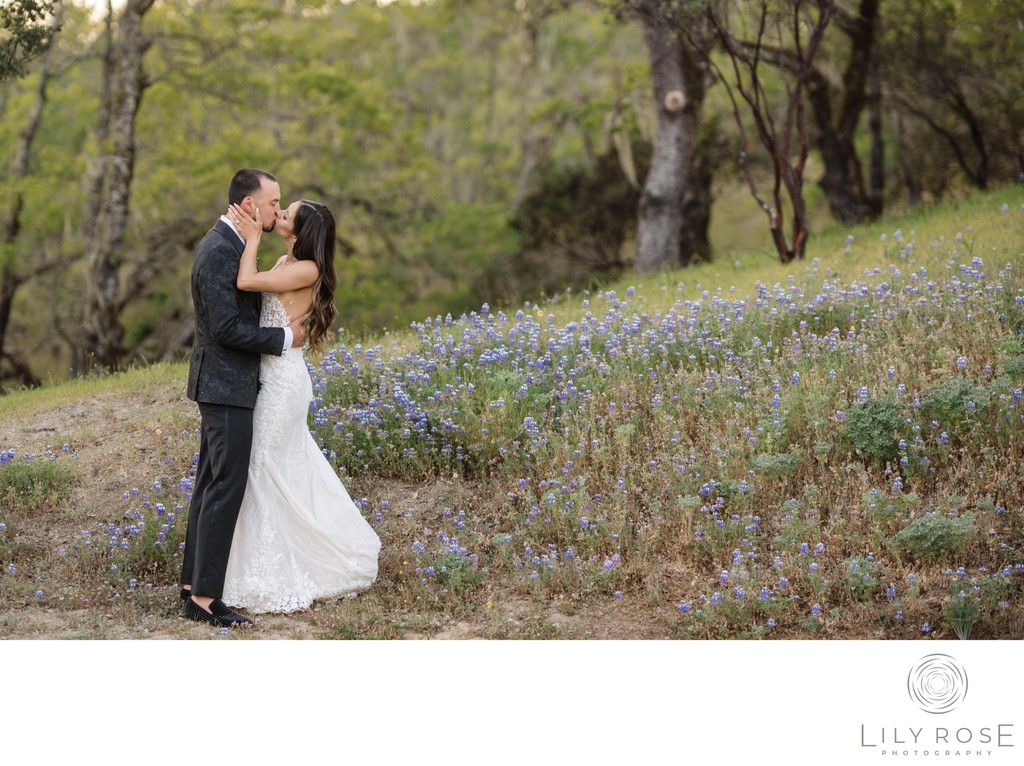 Editorial Napa Wedding Photographers Montage