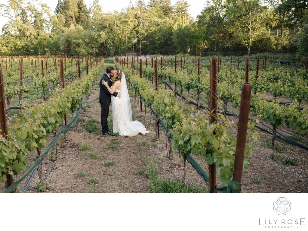 Luxury Napa Wine Country Wedding Photographers