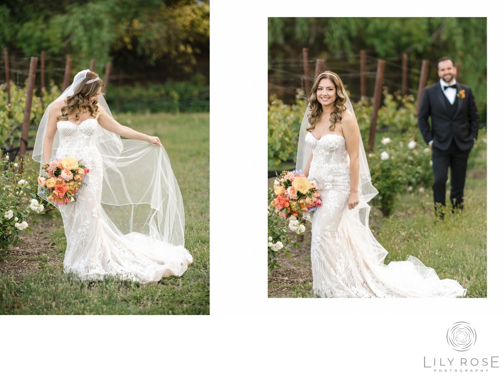 Luxury Wine Country Wedding Photos