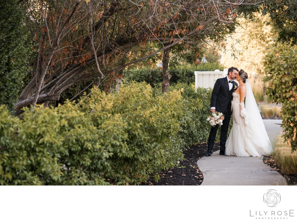 Napa Wedding Photography Solage Resort