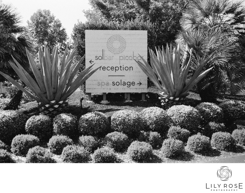 Luxury Solage Wedding Photographer Calistoga