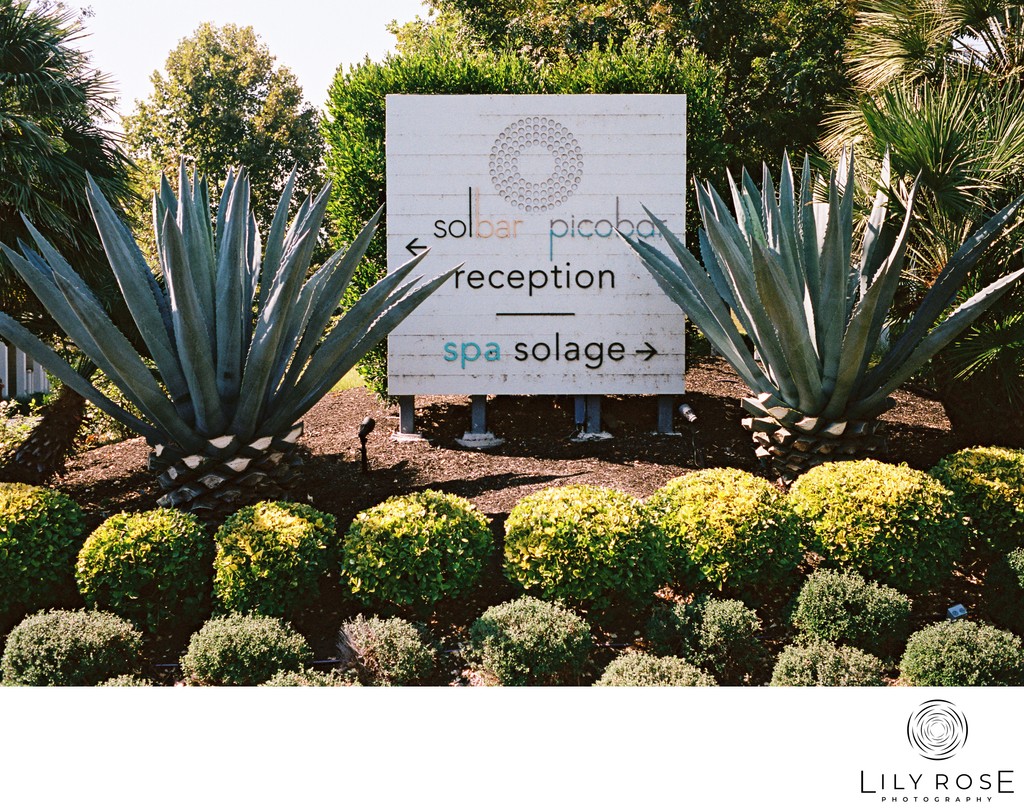 Luxury Solage Wedding Photography Calistoga