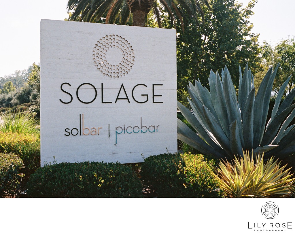 Solage Film Wedding Photographers Calistoga
