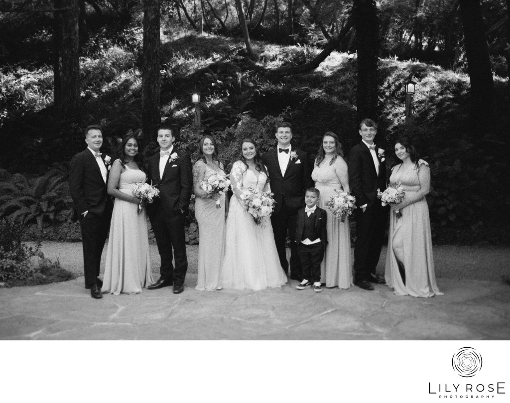 Film Wedding Party Bodega Bay