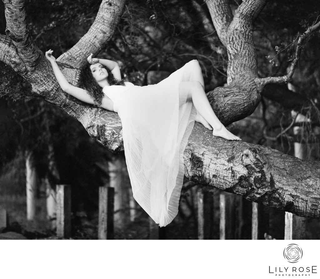 Timeless Sonoma Film Wedding Photographers