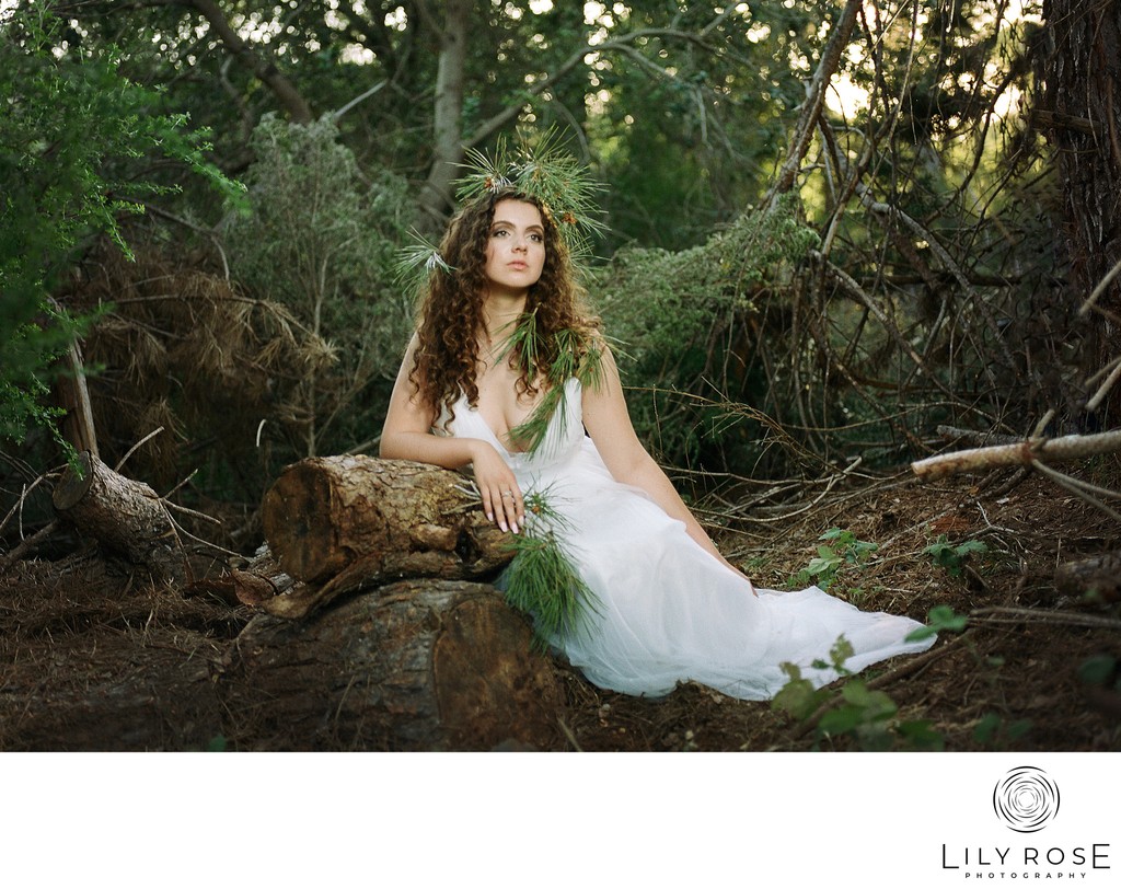 Film Sonoma Wedding Photographers