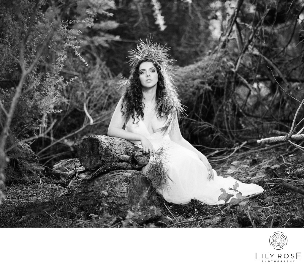 Film Timeless Sonoma Wedding Photography