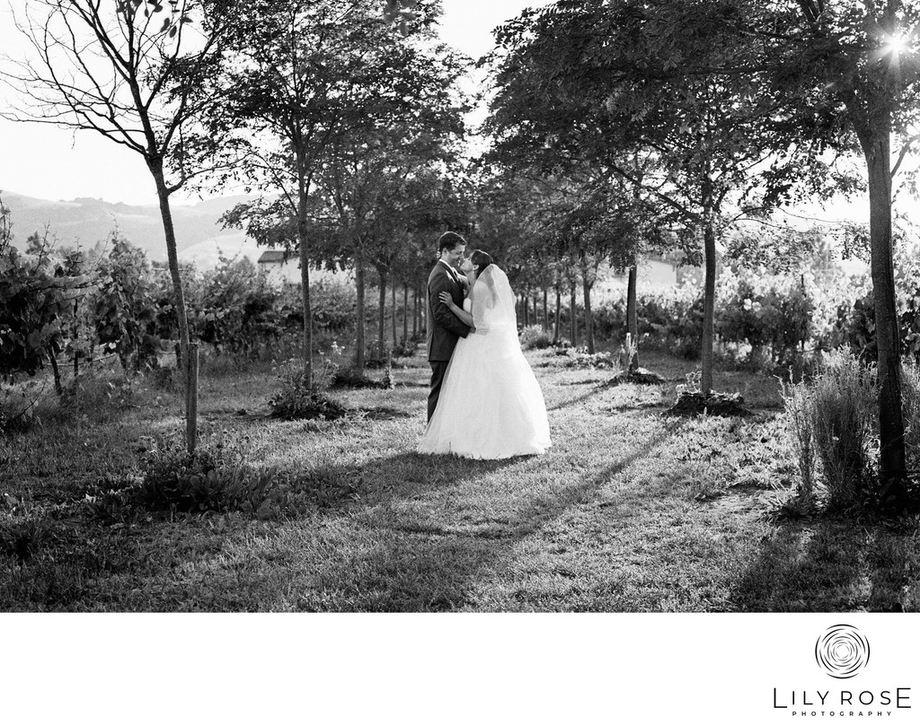 Sonoma Film Wedding Photographers