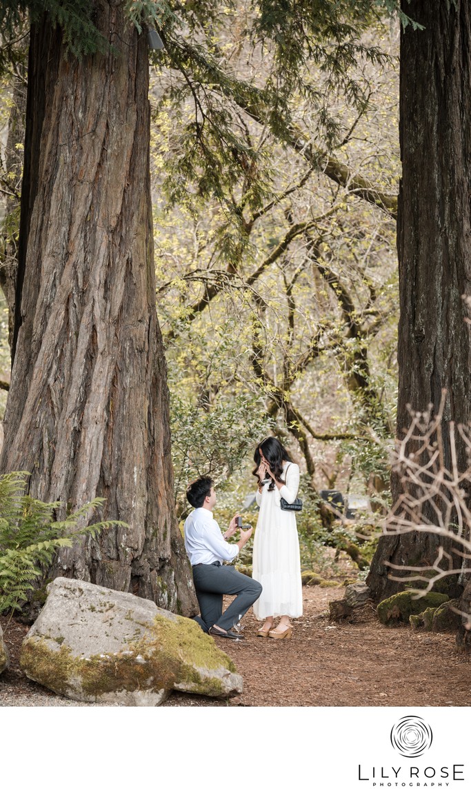 Napa Engagement Photographers at AXL Winery