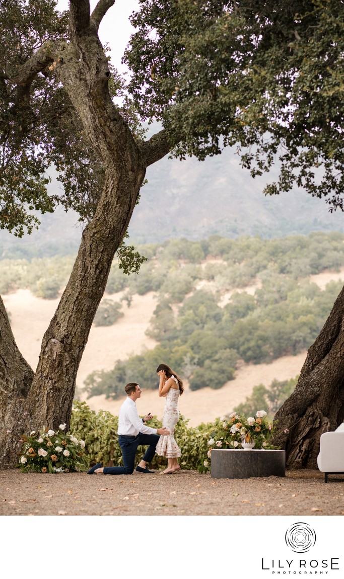 Sonoma Proposal Photographer Kunde Winery