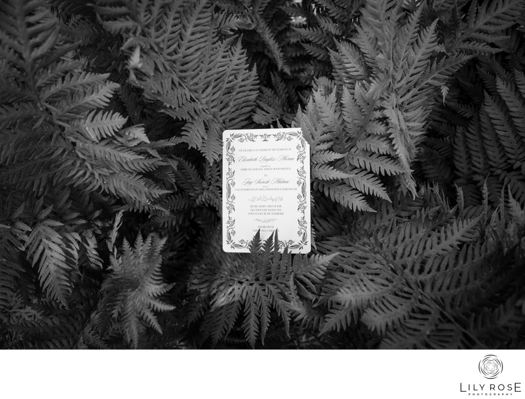 Santa Cruz Wedding Photography The Hollins House 