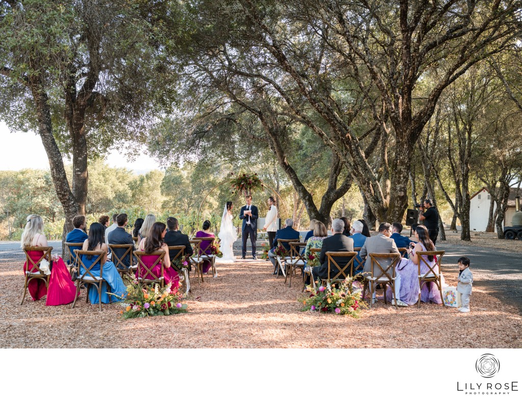 Editorial Wedding Photographer Reeve Winery Healdsburg 