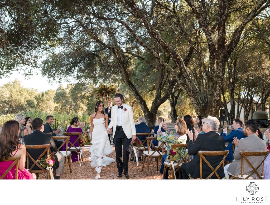 Modern Luxury Napa Valley Wedding Photography