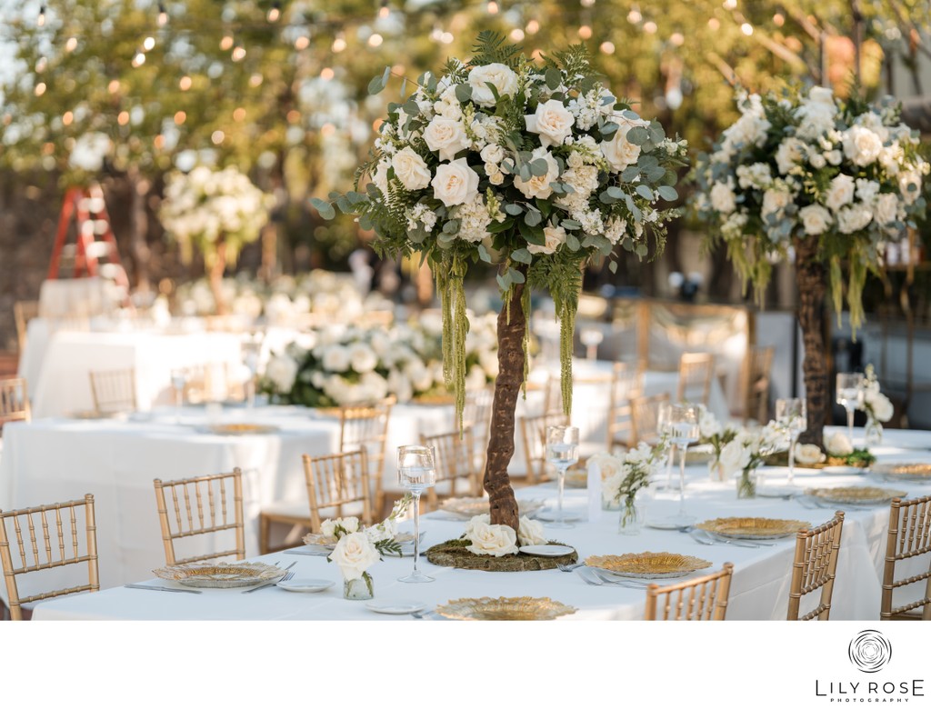 Burbank Wedding Photography