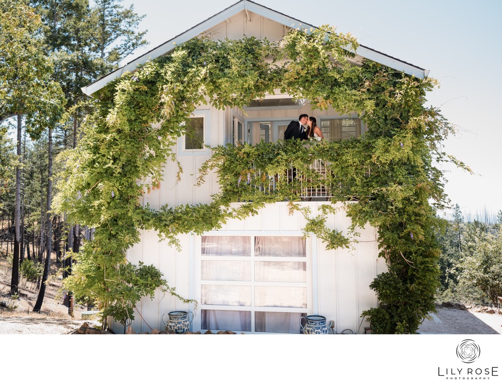 Black Tie Blair Spangler St Helena Wedding Photography