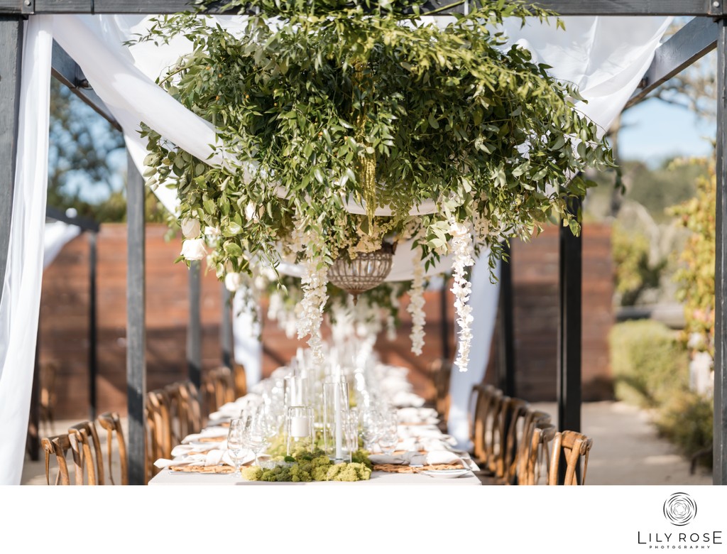 Napa Destination Wedding Photographers